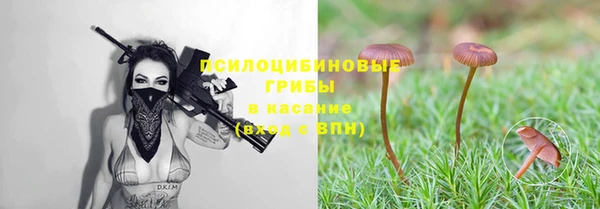 крисы Лиски
