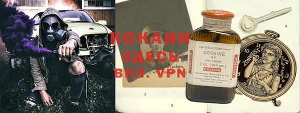 гидра Абаза