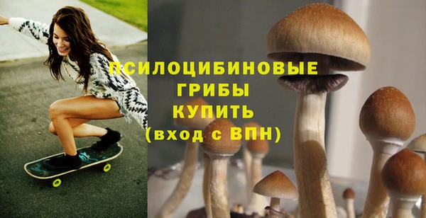 гидра Абаза