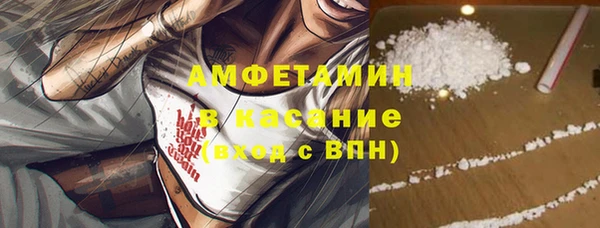 гидра Абаза