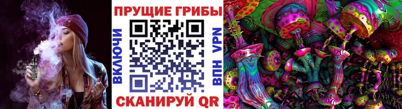 купить закладку  Ильский  МЕГА онион  Псилоцибиновые грибы Psilocybine cubensis 